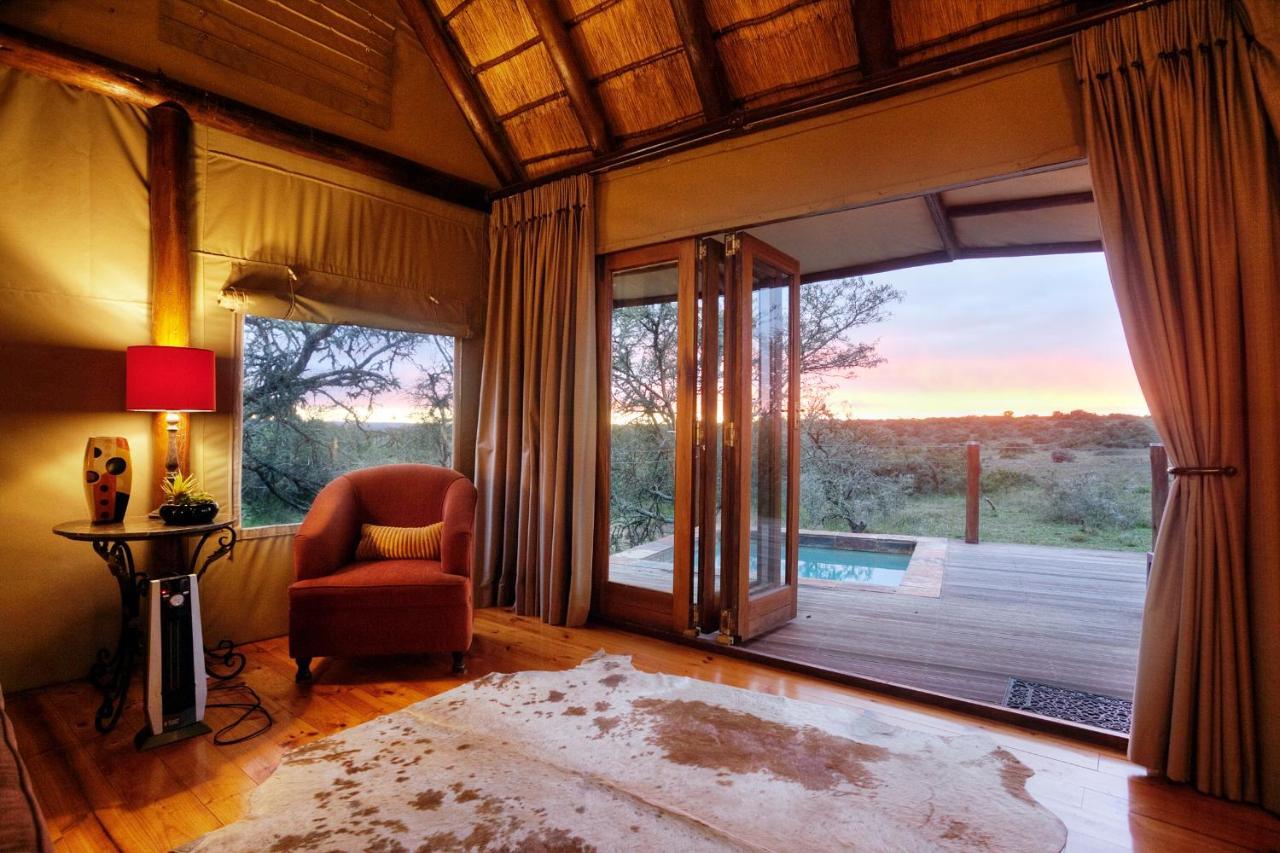 Bush Lodge - Amakhala Vadrezervátum Kültér fotó