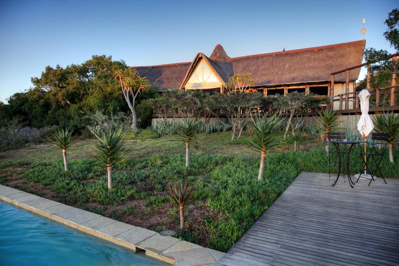 Bush Lodge - Amakhala Vadrezervátum Kültér fotó