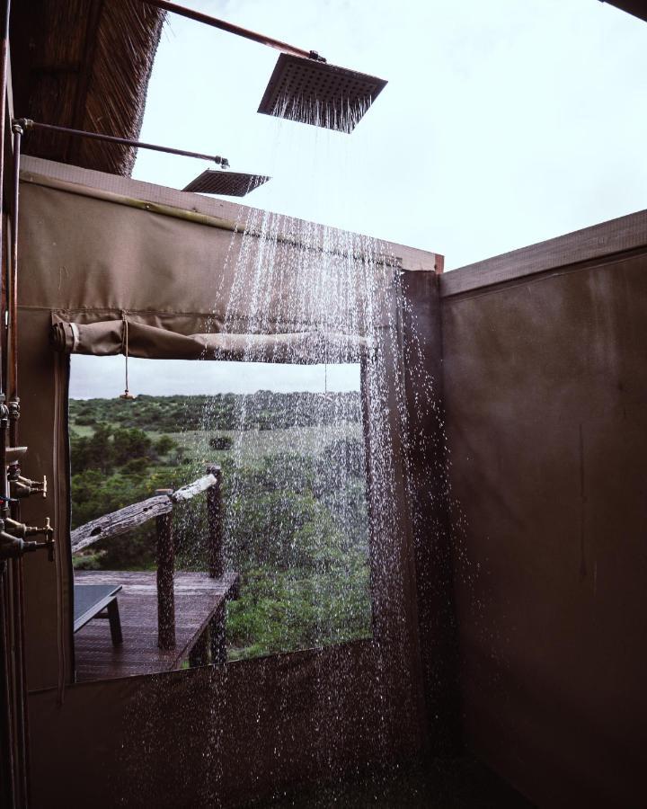Bush Lodge - Amakhala Vadrezervátum Kültér fotó