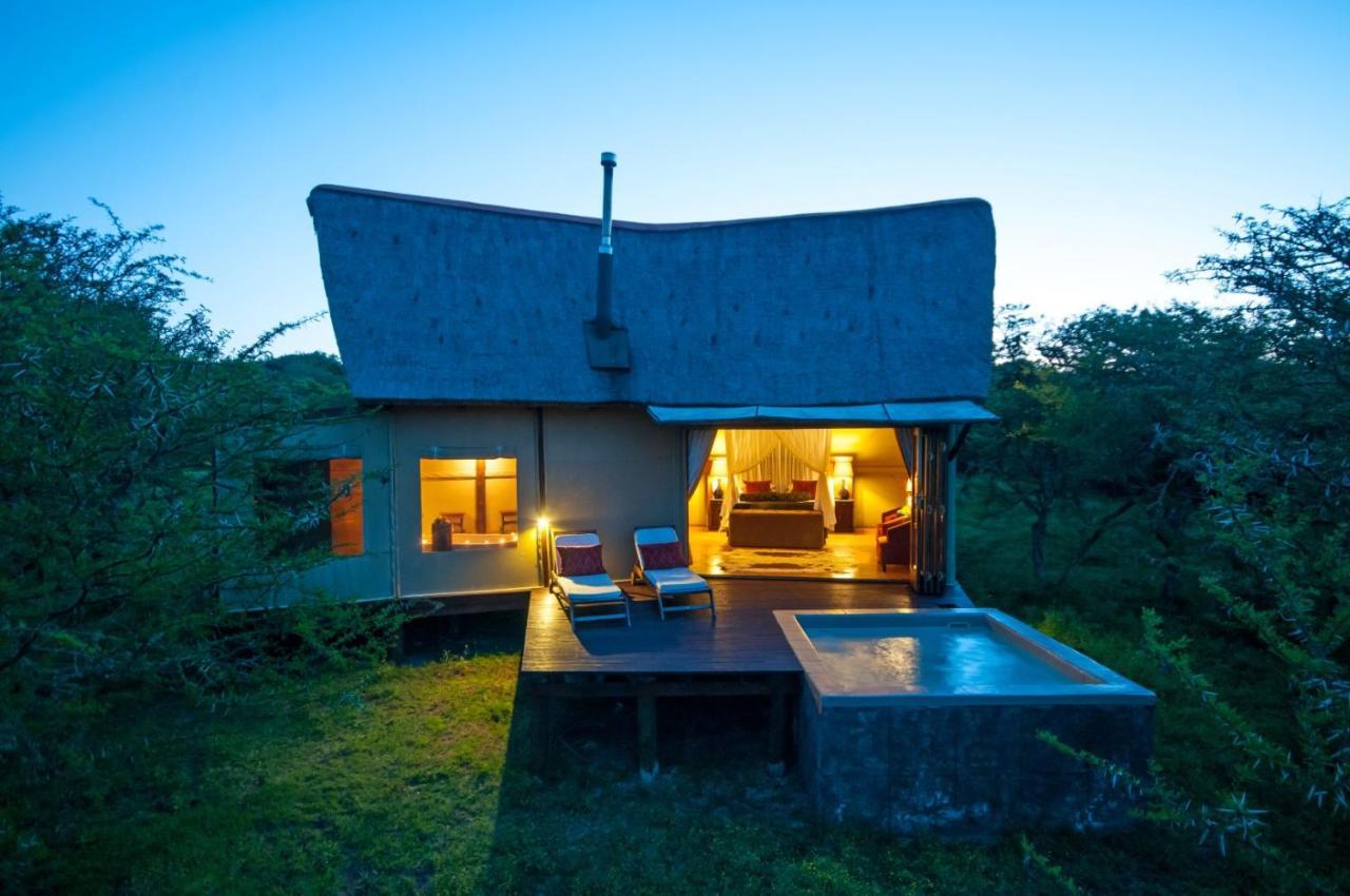Bush Lodge - Amakhala Vadrezervátum Kültér fotó
