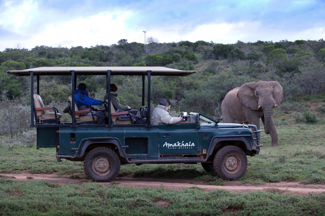 Bush Lodge - Amakhala Vadrezervátum Kültér fotó