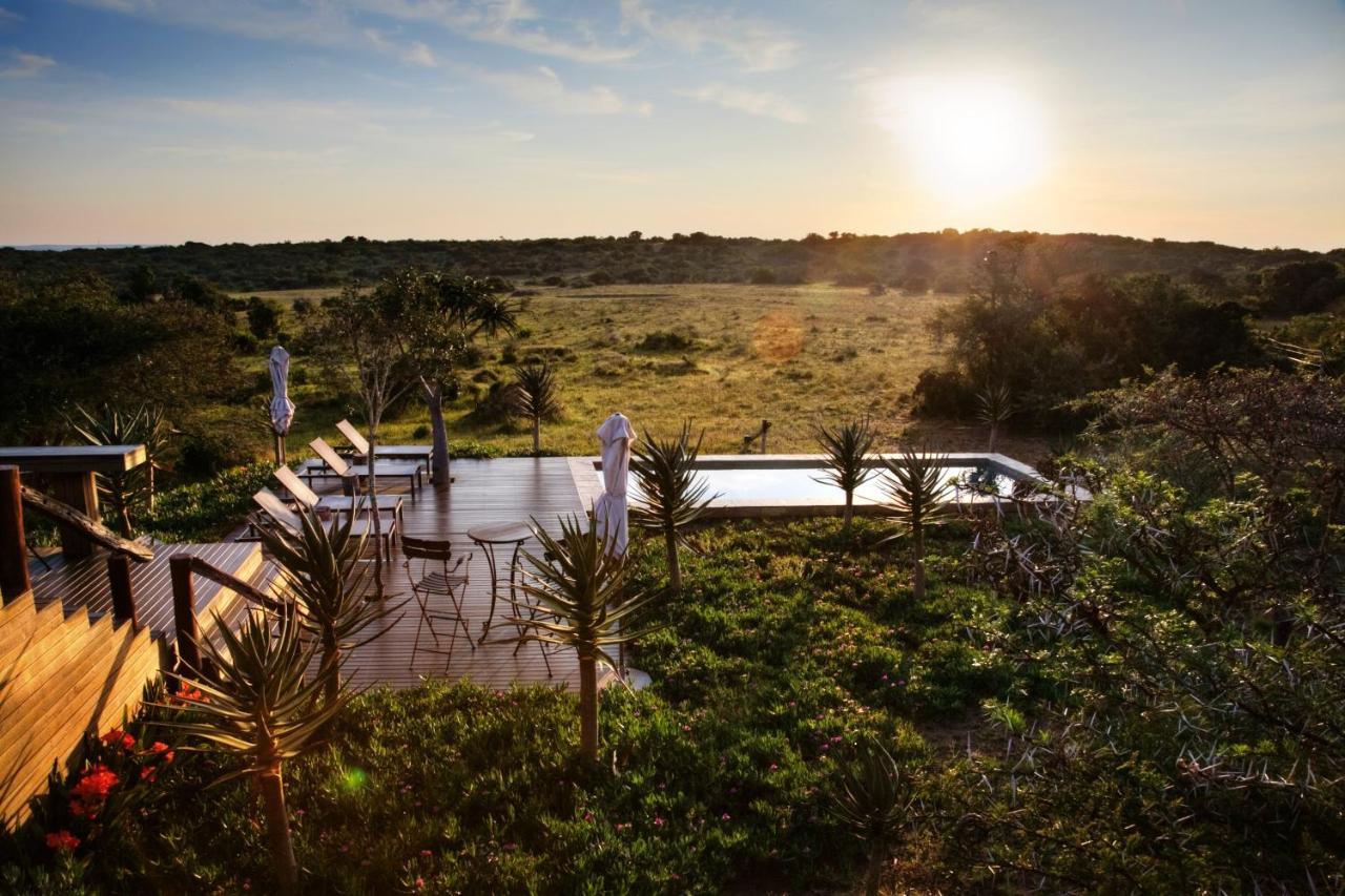 Bush Lodge - Amakhala Vadrezervátum Kültér fotó