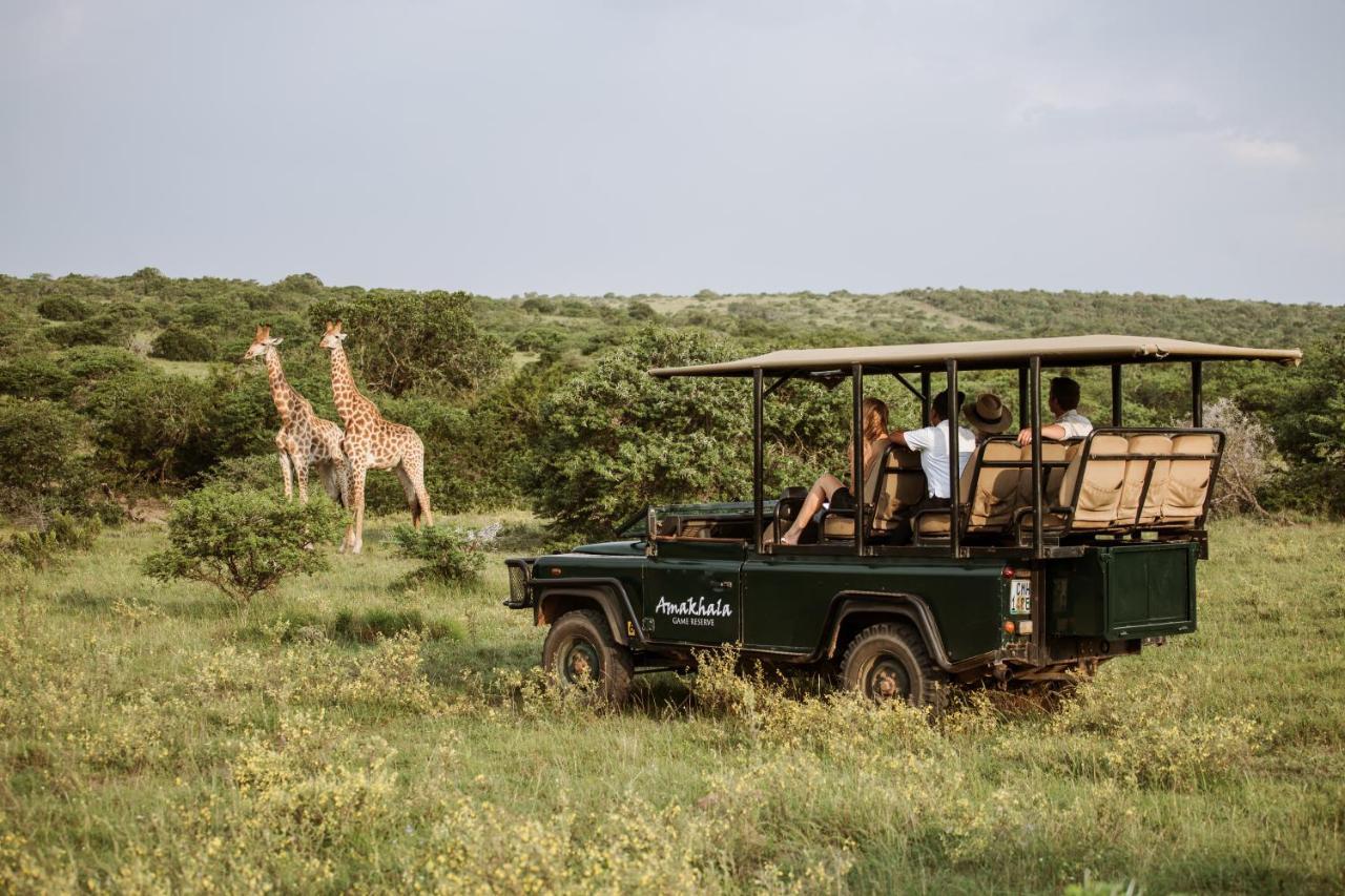 Bush Lodge - Amakhala Vadrezervátum Kültér fotó