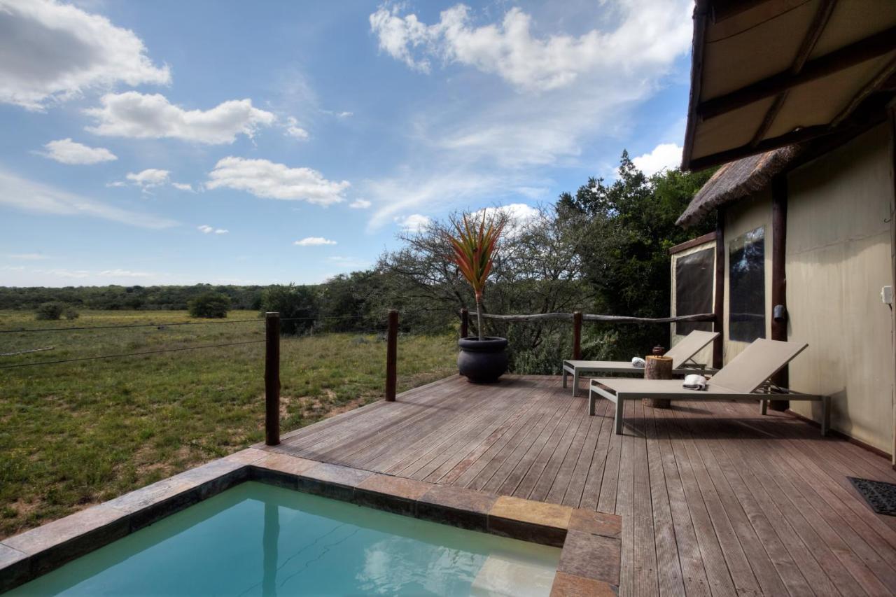 Bush Lodge - Amakhala Vadrezervátum Kültér fotó