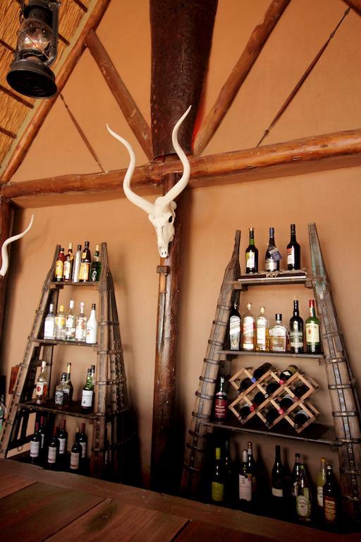 Bush Lodge - Amakhala Vadrezervátum Kültér fotó
