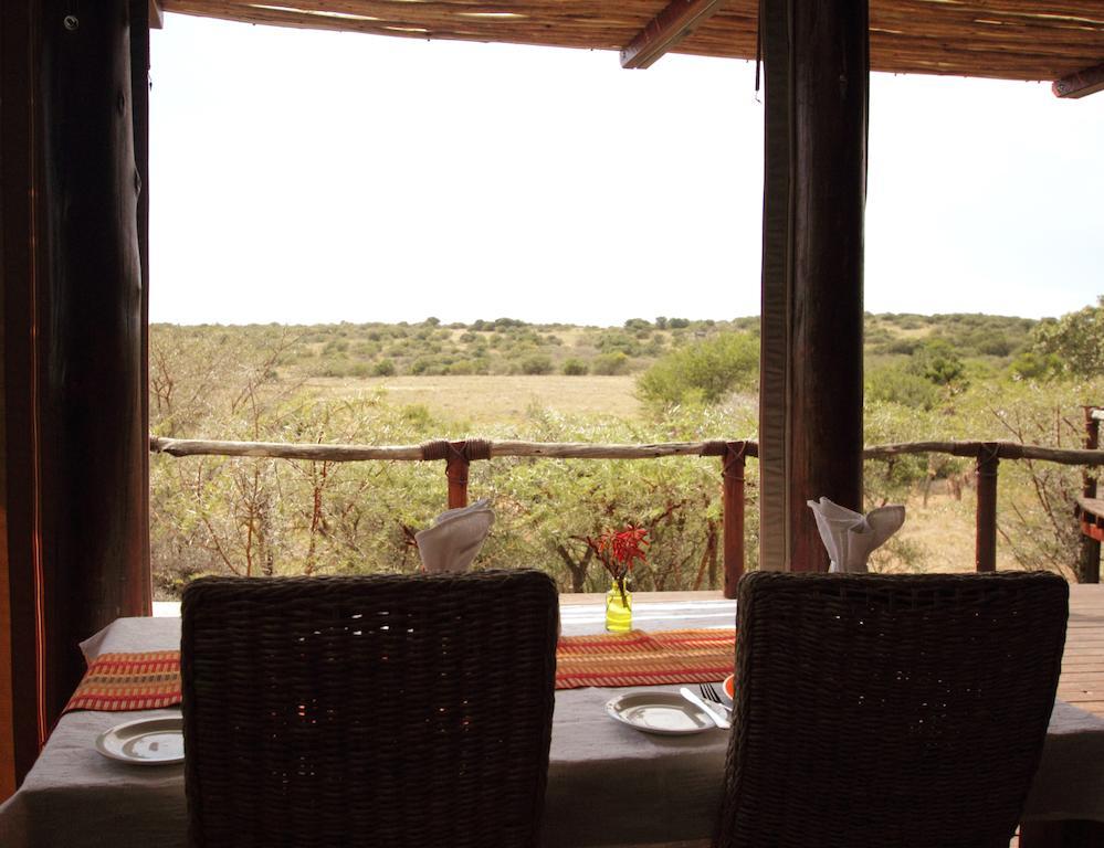 Bush Lodge - Amakhala Vadrezervátum Kültér fotó