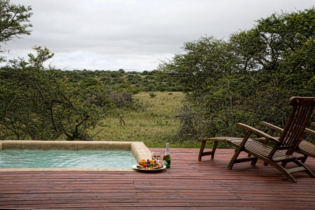 Bush Lodge - Amakhala Vadrezervátum Szoba fotó