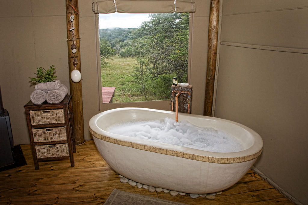 Bush Lodge - Amakhala Vadrezervátum Szoba fotó