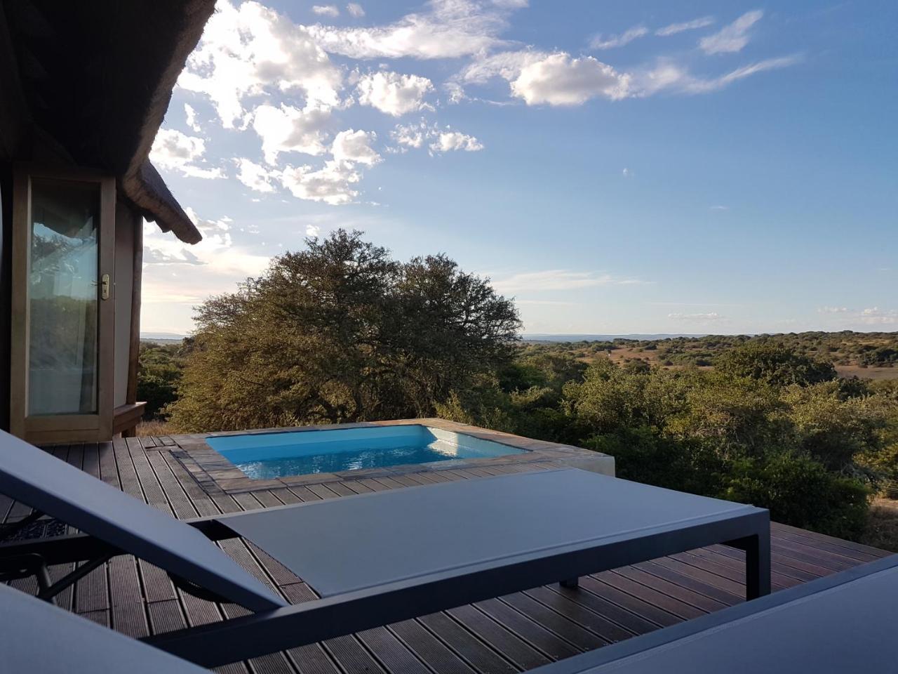 Bush Lodge - Amakhala Vadrezervátum Kültér fotó